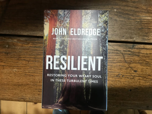 Books Resilient
